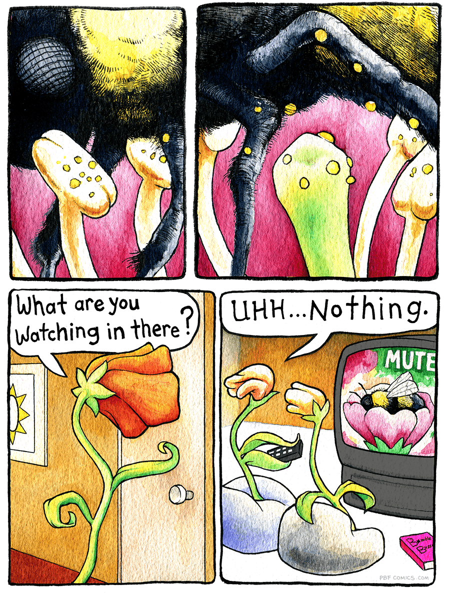 Close ups: A bumble bee