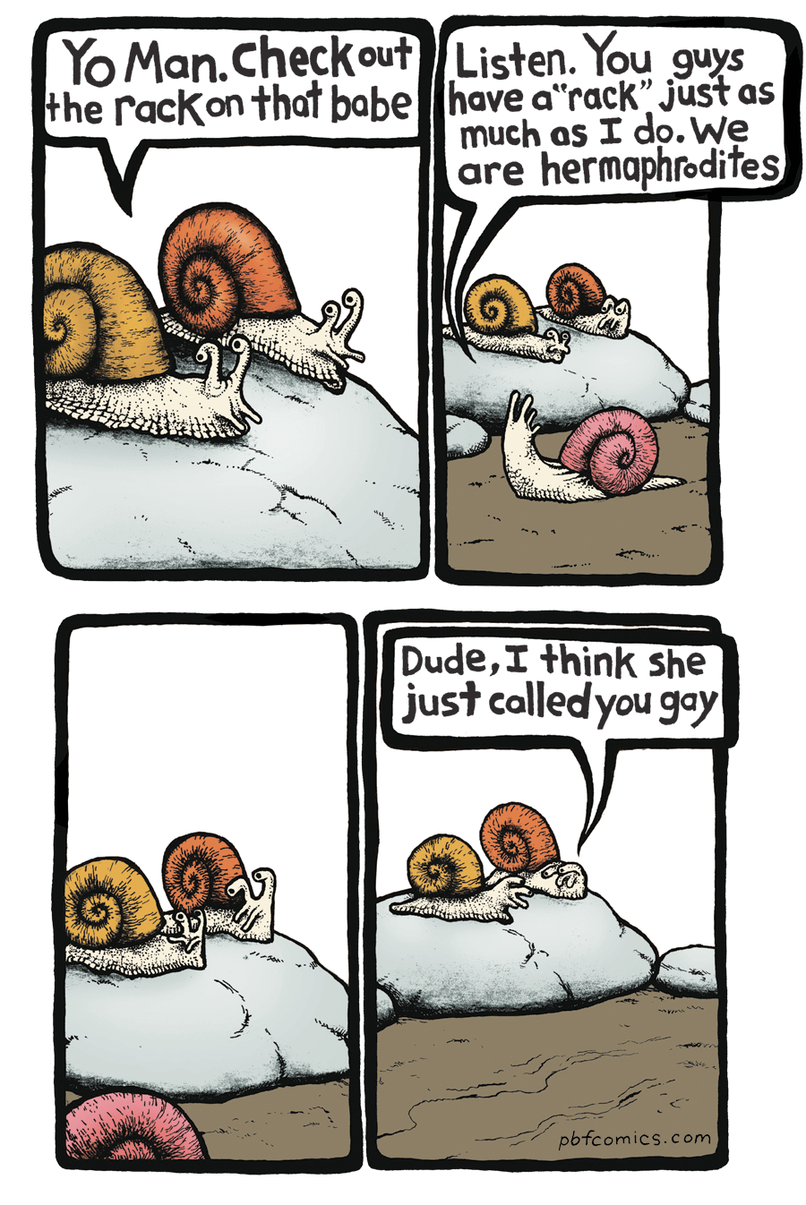 Snail Harassment