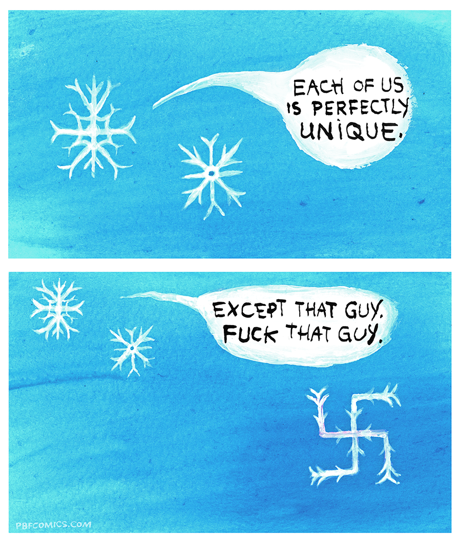 A drawing of two snowflakes. One says to the other: "Each of us is perfectly unique". The second panel of the comic shows a third snowflakes shaped like a swastika and the first snowflake adds: "Except that guy. Fuck that guy."