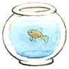Goldfish in a bowl