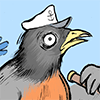 A startled bird captain